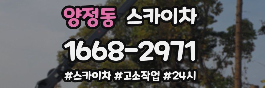 양정동 스카이차