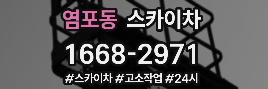 염포동 스카이차