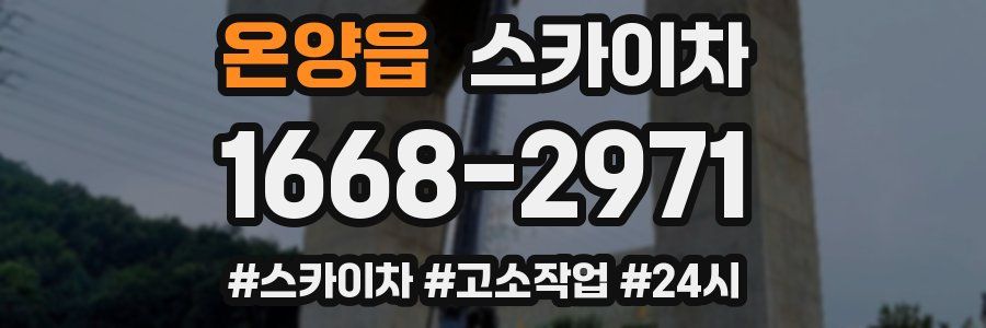 온양읍 스카이차