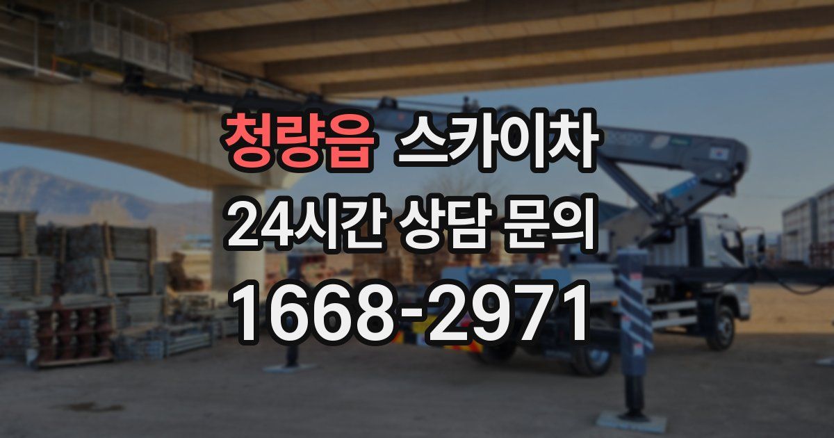 청량읍 스카이차