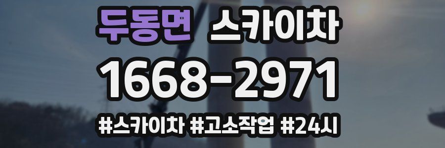 두동면 스카이차