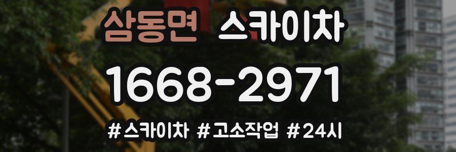 삼동면 스카이차