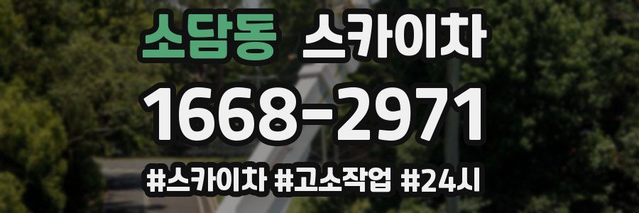 소담동 스카이차