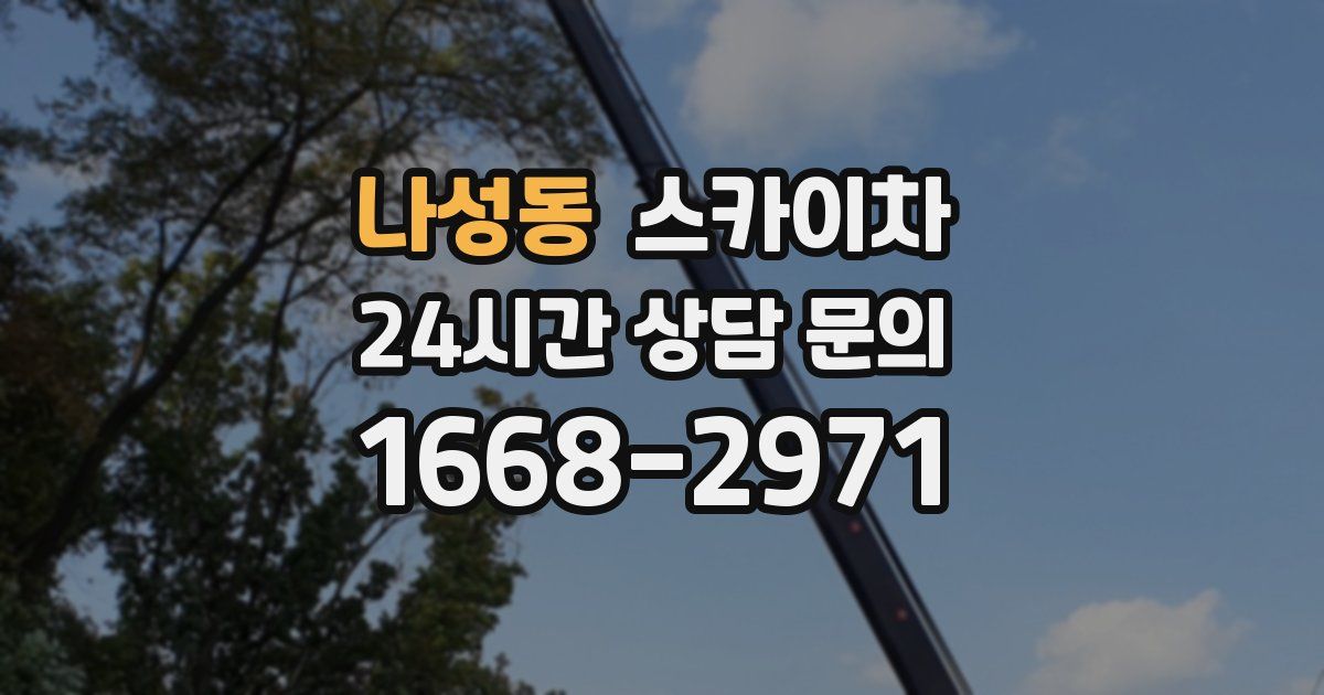 나성동 스카이차