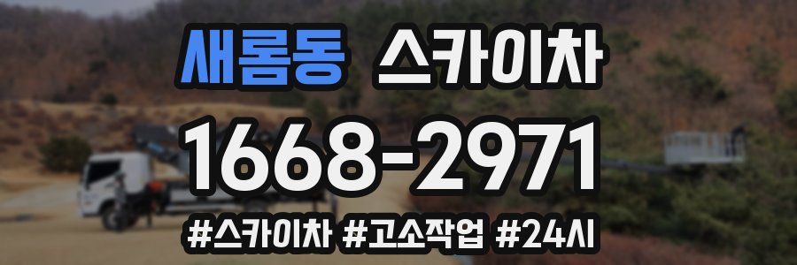 새롬동 스카이차