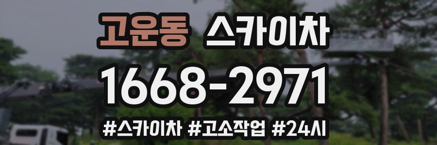 고운동 스카이차