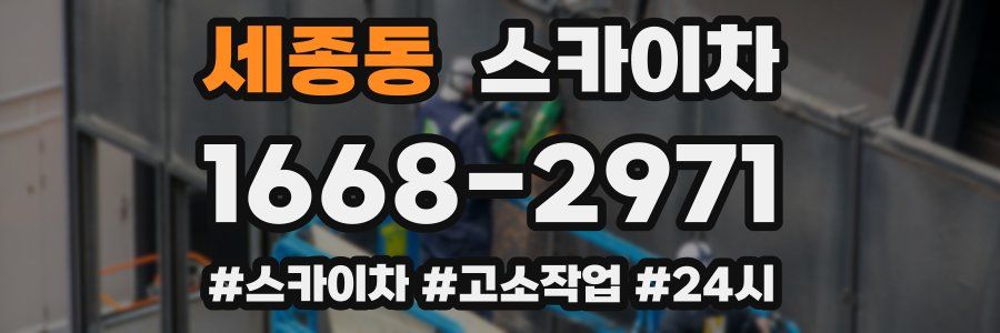 세종동 스카이차