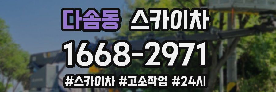 다솜동 스카이차