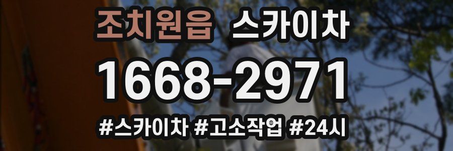 조치원읍 스카이차