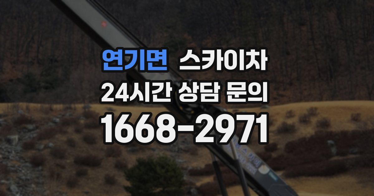 연기면 스카이차