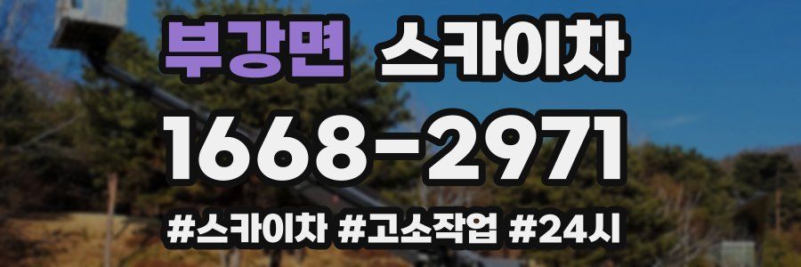 부강면 스카이차