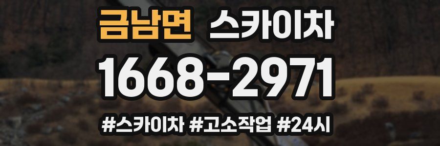 금남면 스카이차