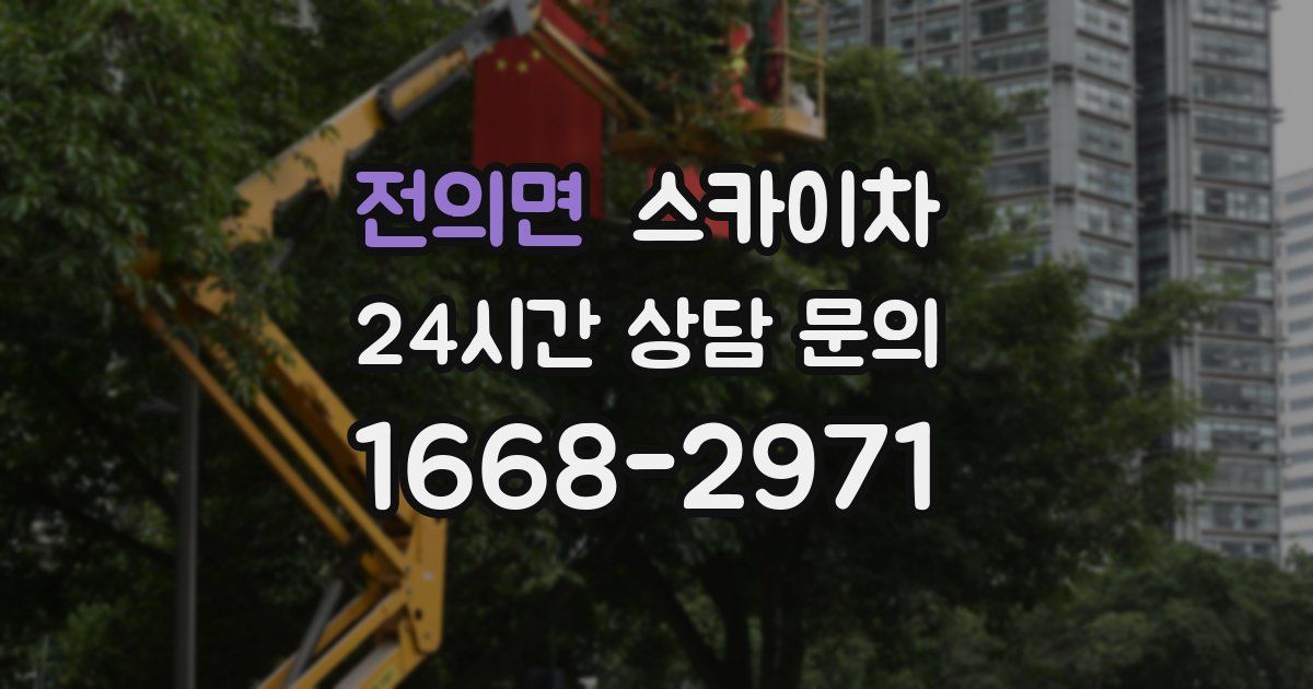 전의면 스카이차