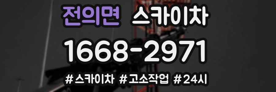 전의면 스카이차