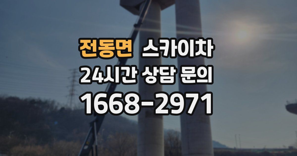 전동면 스카이차