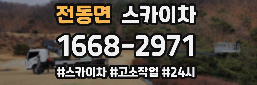 전동면 스카이차