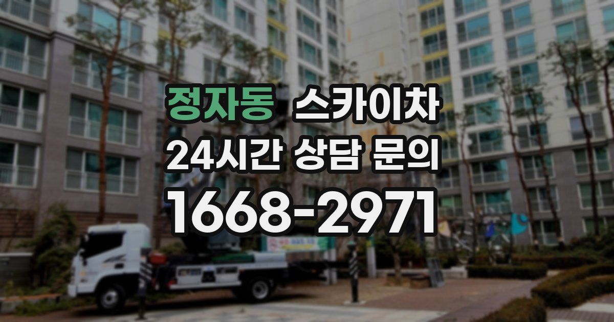 정자동 스카이차