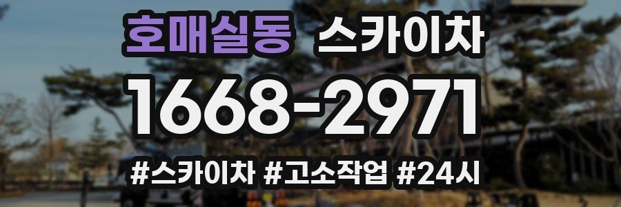 호매실동 스카이차