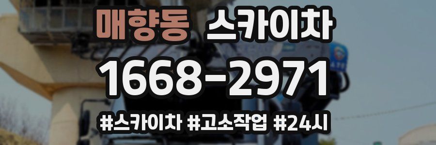 매향동 스카이차