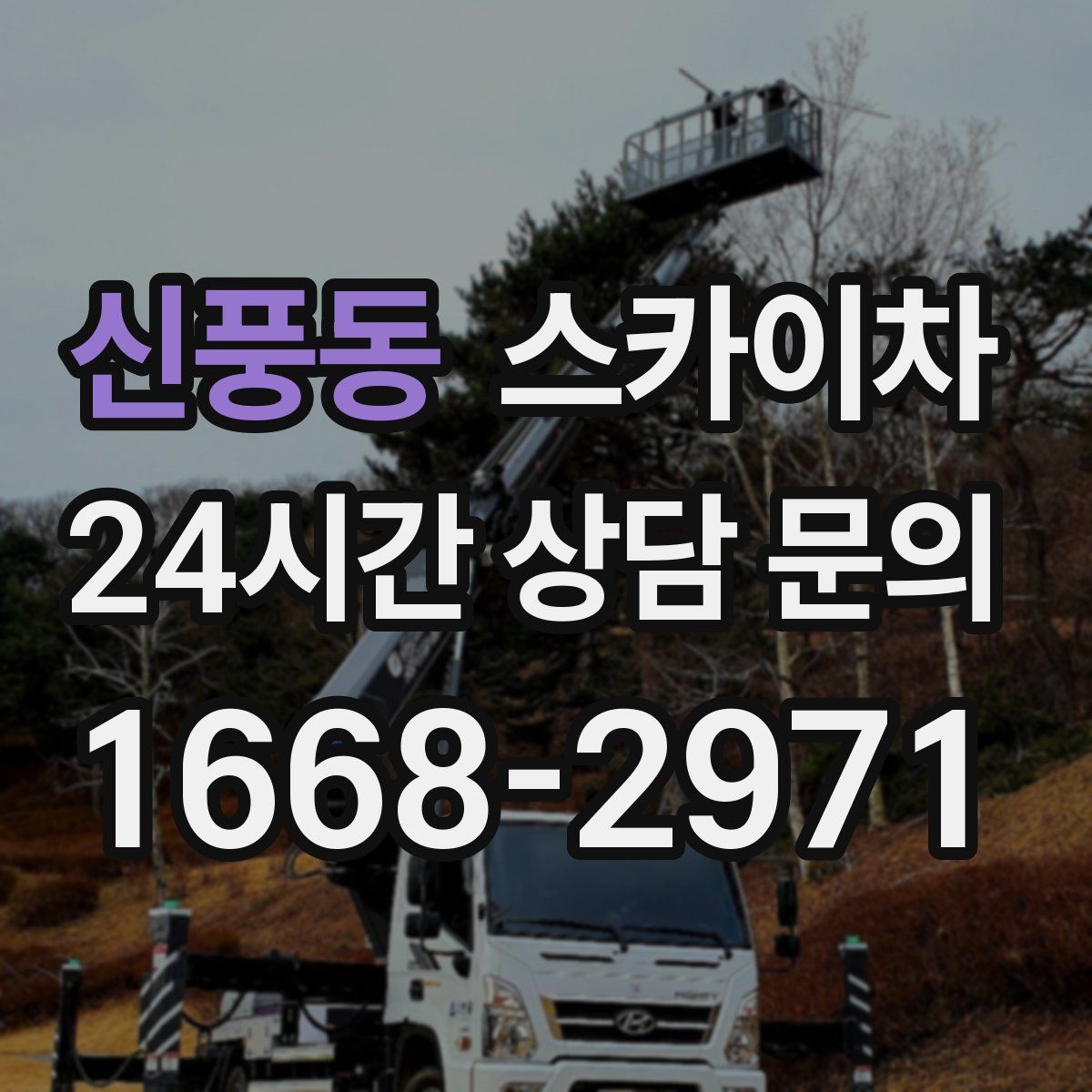 신풍동 스카이차