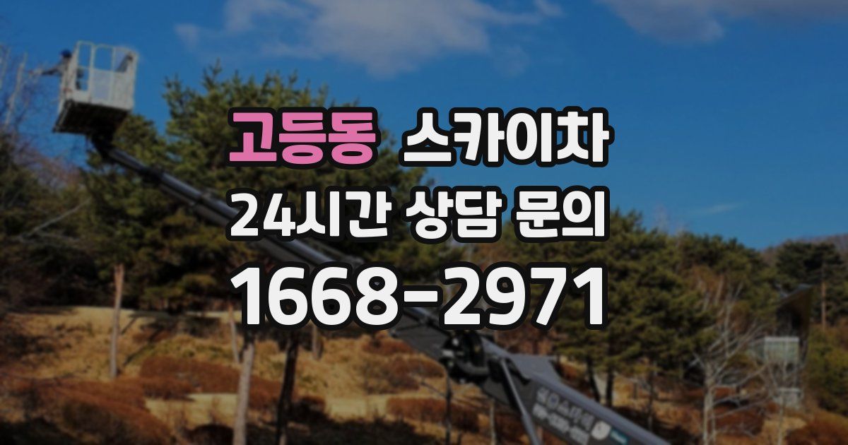 고등동 스카이차