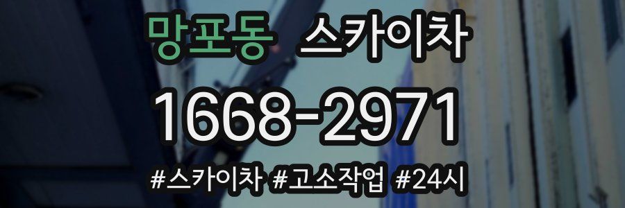 망포동 스카이차