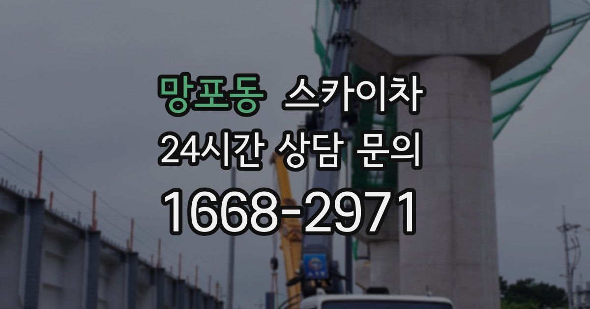 망포동 스카이차