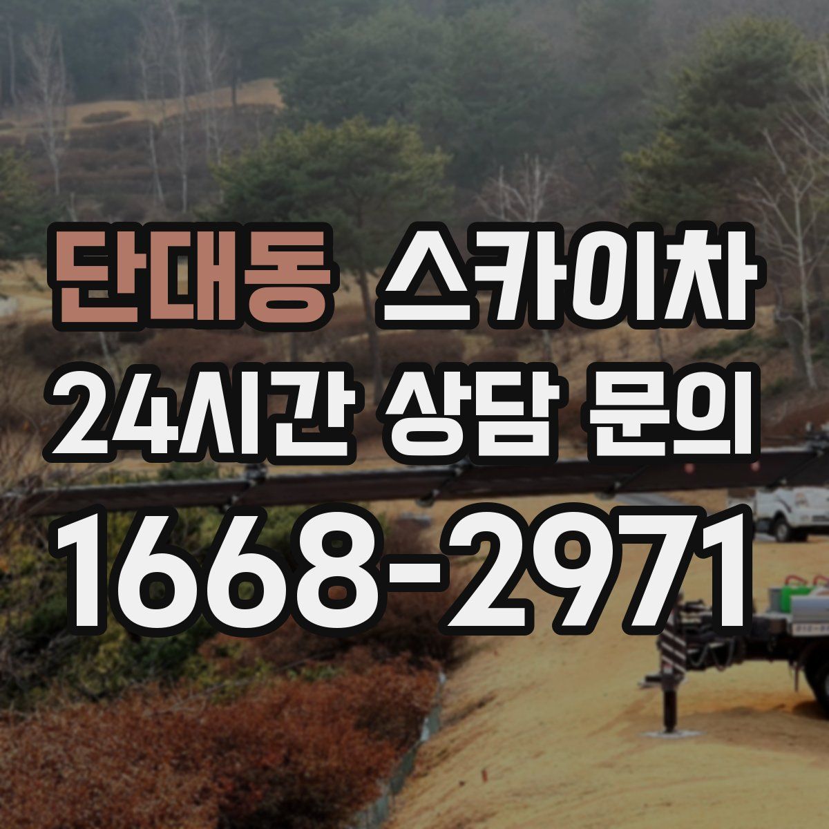 단대동 스카이차