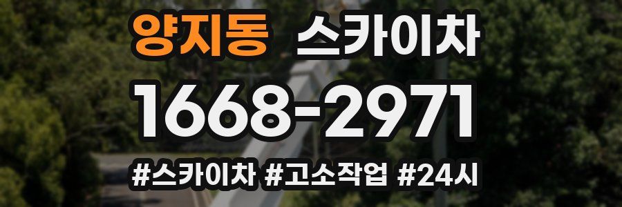 양지동 스카이차