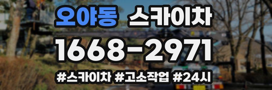 오야동 스카이차