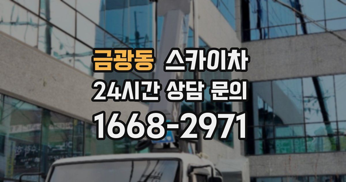 금광동 스카이차