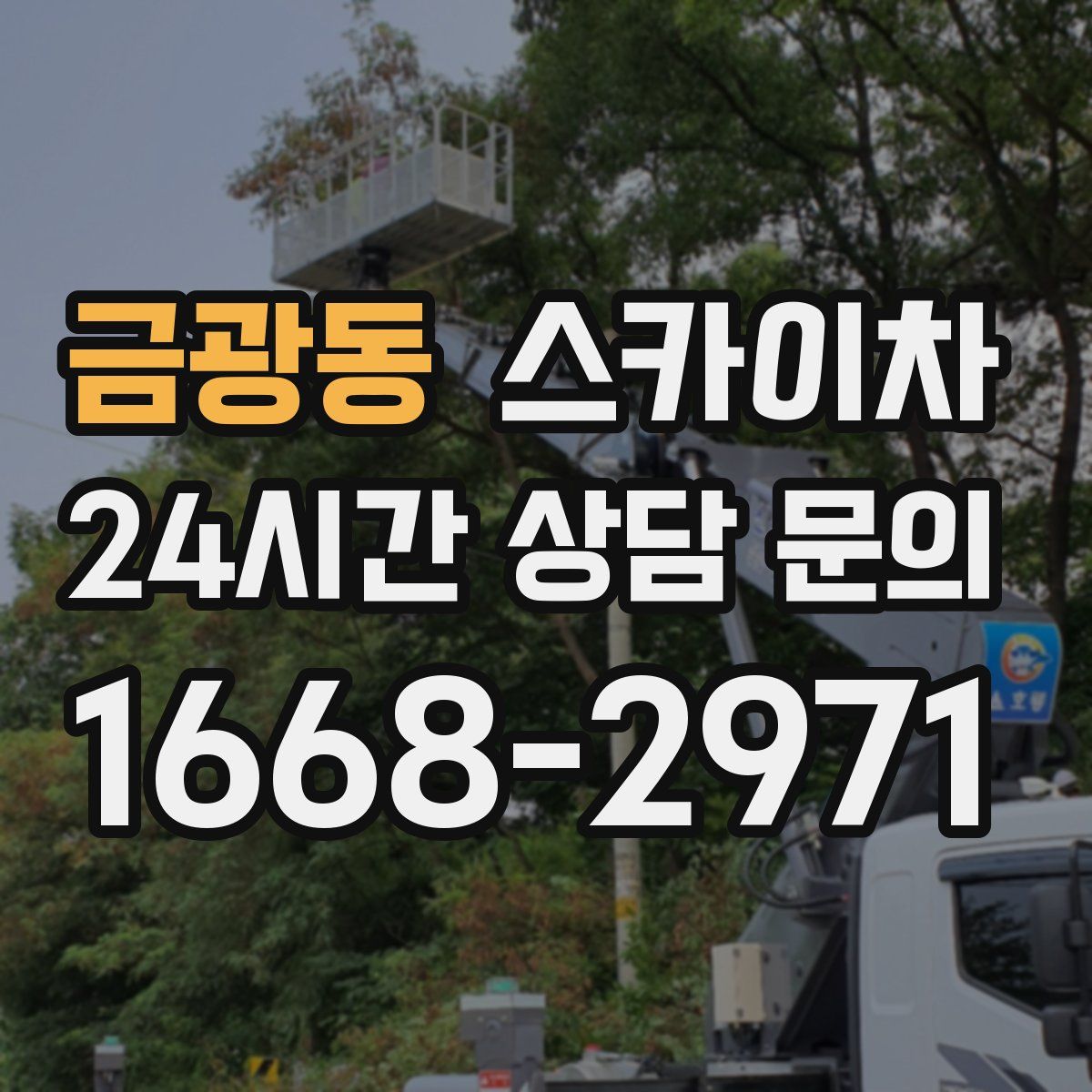 금광동 스카이차