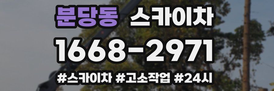 분당동 스카이차