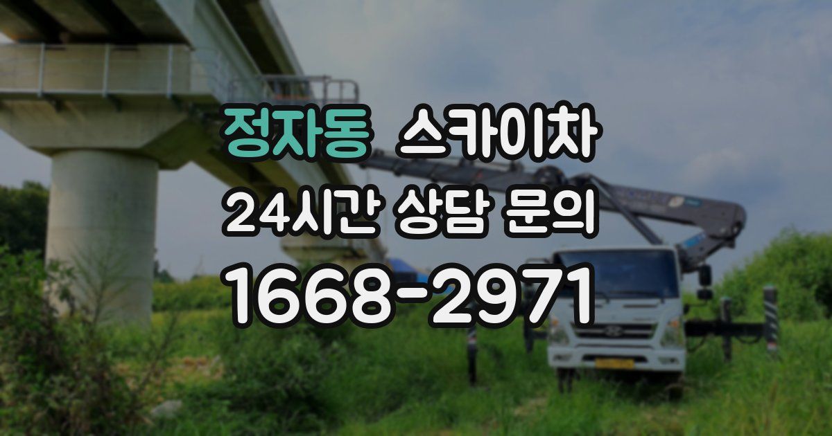 정자동 스카이차