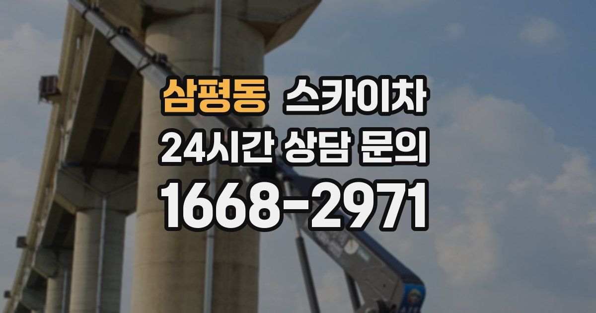 삼평동 스카이차