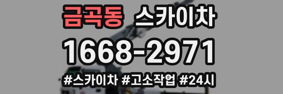 금곡동 스카이차