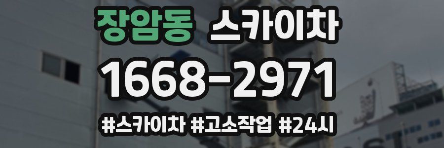 장암동 스카이차