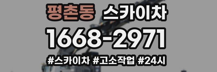 평촌동 스카이차