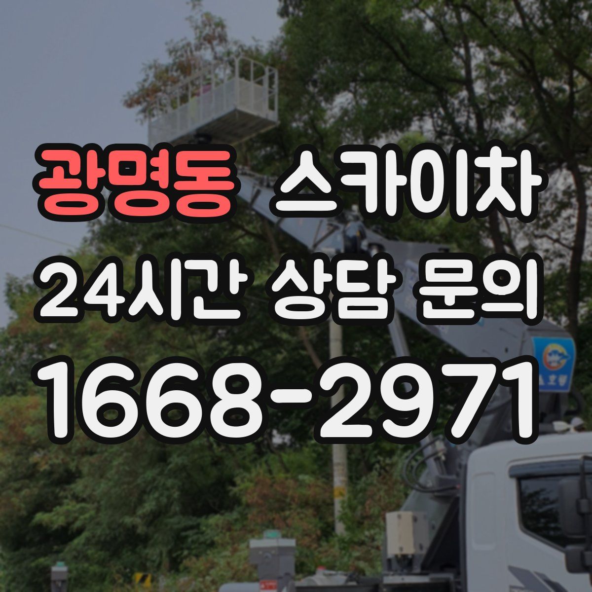 광명동 스카이차