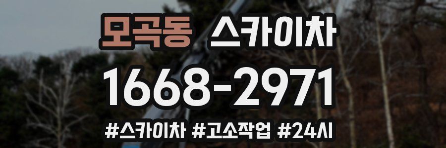 모곡동 스카이차