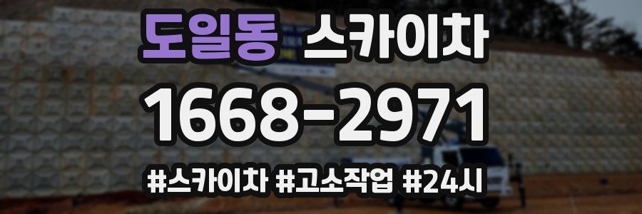 도일동 스카이차