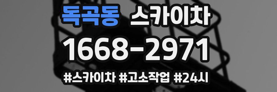 독곡동 스카이차