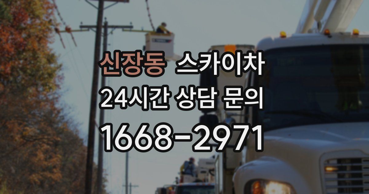 신장동 스카이차