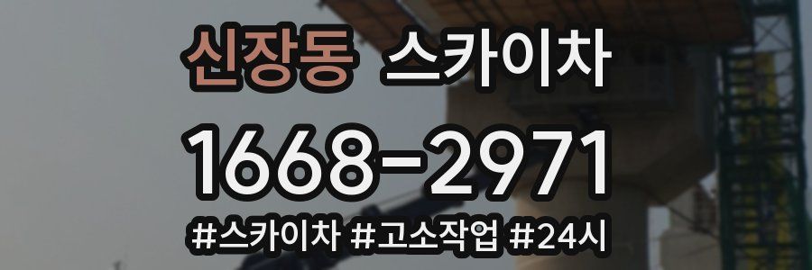 신장동 스카이차