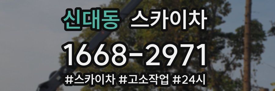 신대동 스카이차