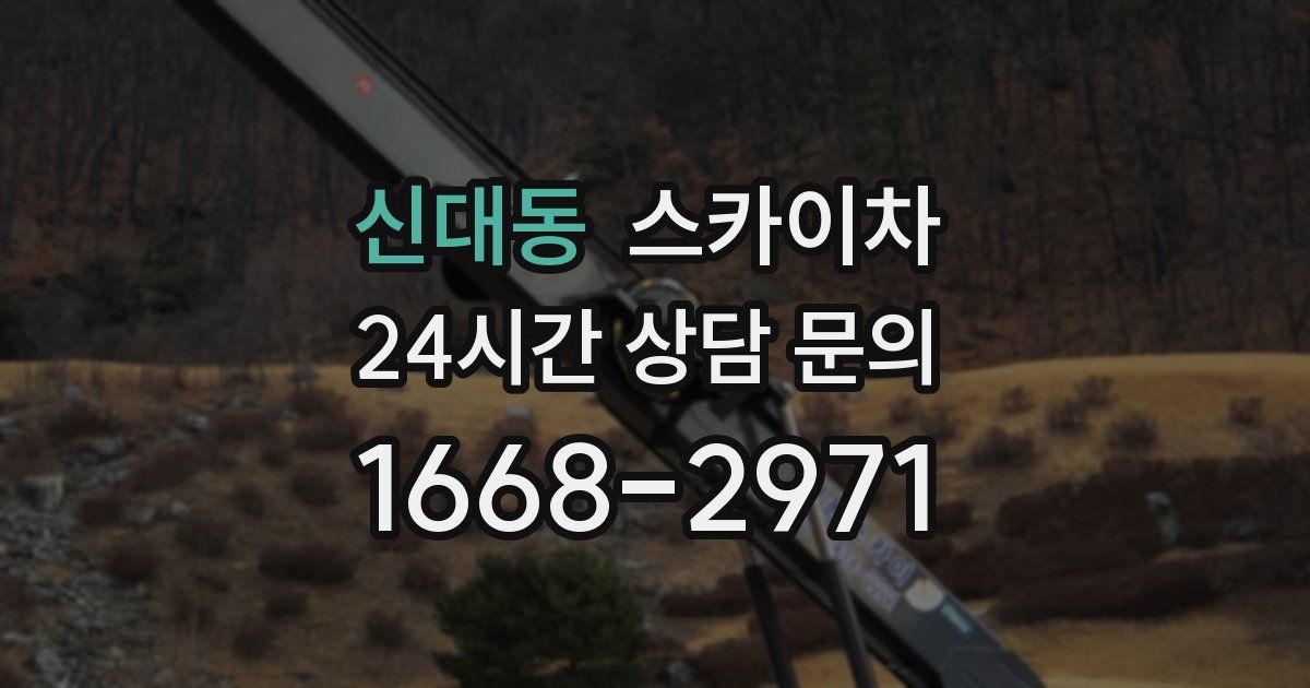 신대동 스카이차