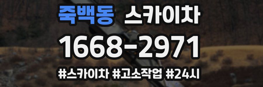 죽백동 스카이차