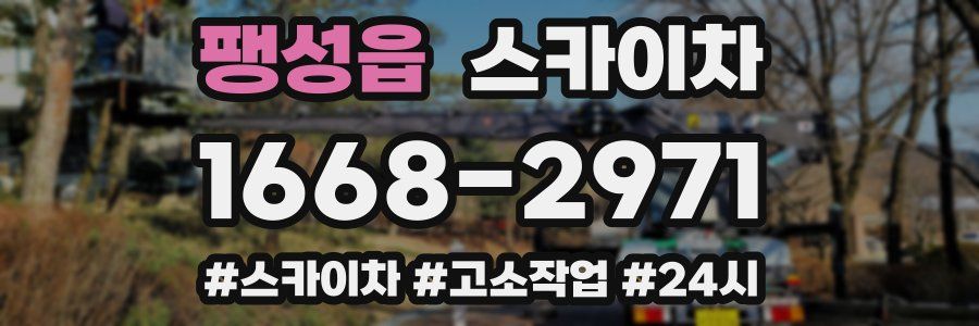 팽성읍 스카이차