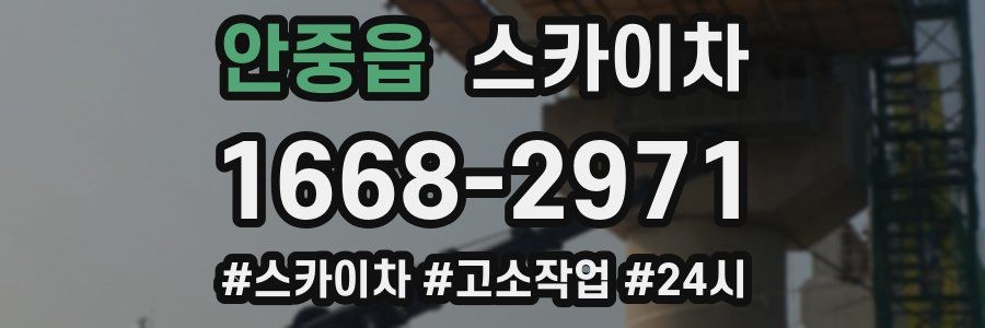 안중읍 스카이차