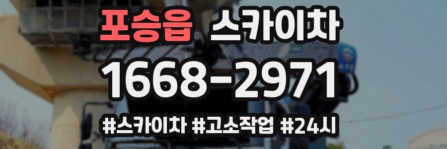 포승읍 스카이차